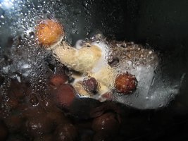 IMG_8443_845x634.jpg