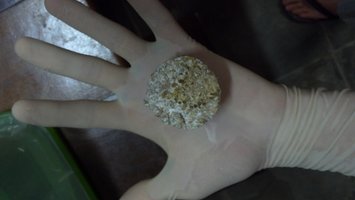 2013-02-06_22-02-55_359.jpg
