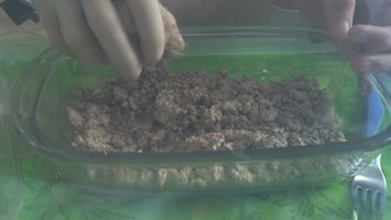 2013-02-09_15-56-17_487.jpg