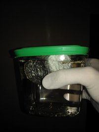 WP_000477.jpg