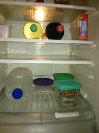 WP_000478.jpg