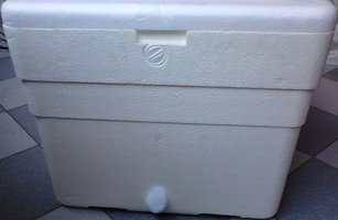IMG00103.jpg