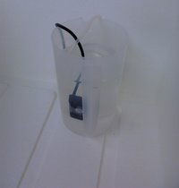IMG00115.jpg