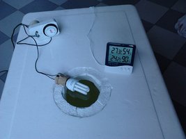 IMG00118.jpg