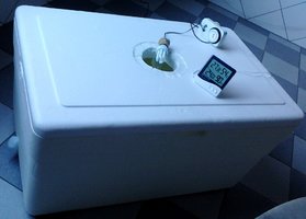 IMG00120.jpg