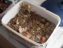 IMG_9689.jpg