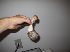 IMG_8485_845x634.jpg