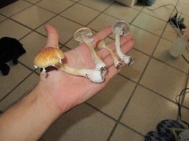 IMG_8500_845x634.jpg