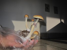 IMG_8508_845x634.jpg