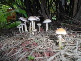 095_2160x1620.jpg