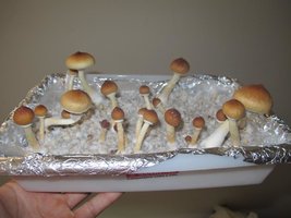 IMG_8634_845x634.jpg