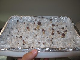 IMG_8635_845x634.jpg