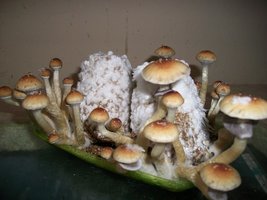 100_5760.jpg