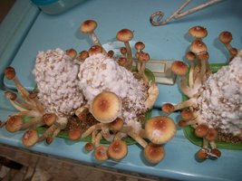 100_5767.jpg