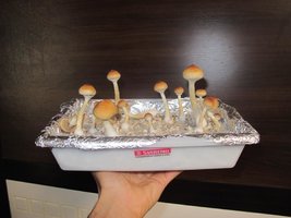 IMG_8658_845x634.jpg