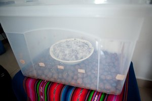 IMG_9172.jpg