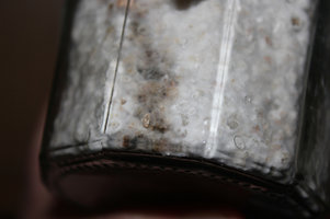 IMG_8685.JPG