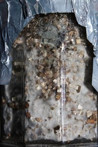 IMG_8689.JPG