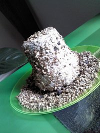 2013-03-29 12.11.26.jpg