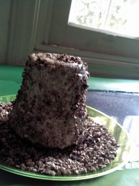 2013-03-29 12.11.44.jpg