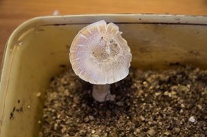 IMG_9923.jpg