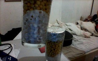 imagem098.jpg
