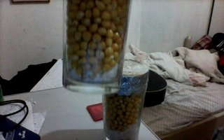 imagem099.jpg