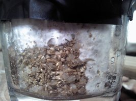 ipc130320131600x4mmbrd4.jpg