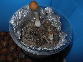 DSCN5425.JPG