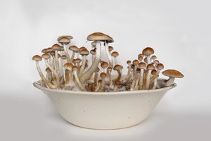 IMG_9266.jpg