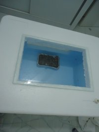 DSC01075.JPG