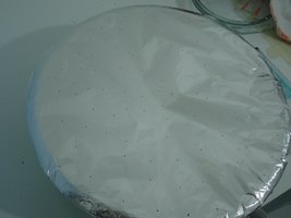 DSC01086.JPG