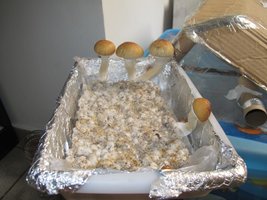 IMG_8743_845x634.jpg