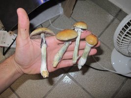 IMG_8678_845x634.jpg