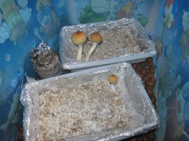 IMG_8680_845x634.jpg