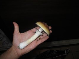 IMG_8734_845x634.jpg