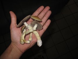 IMG_8739_845x634.jpg