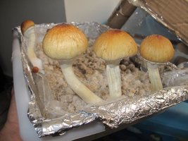 IMG_8742_845x634.jpg