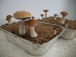100_5807~1.jpg