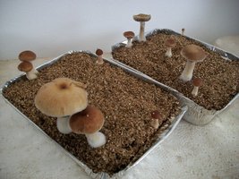 100_5806~1.jpg