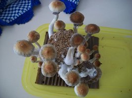 100_5801~1.jpg