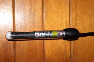 IMG_8785.JPG