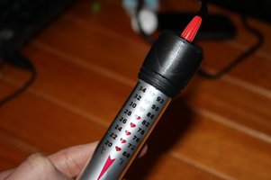 IMG_8786.JPG
