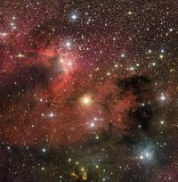 starbirthcephus.jpg