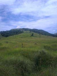 Foto0049.jpg