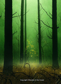 forests-and-trees.unhinged-forest.jpg