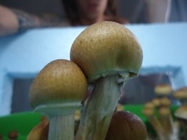DSC01322.JPG
