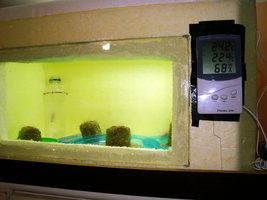 DSC07617.JPG