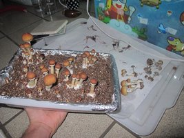 IMG_8834_845x634.jpg