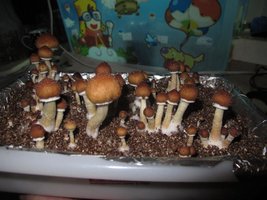 IMG_8835_845x634.jpg